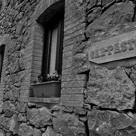 Casa Cal Pastor Konuk evi Salo Dış mekan fotoğraf