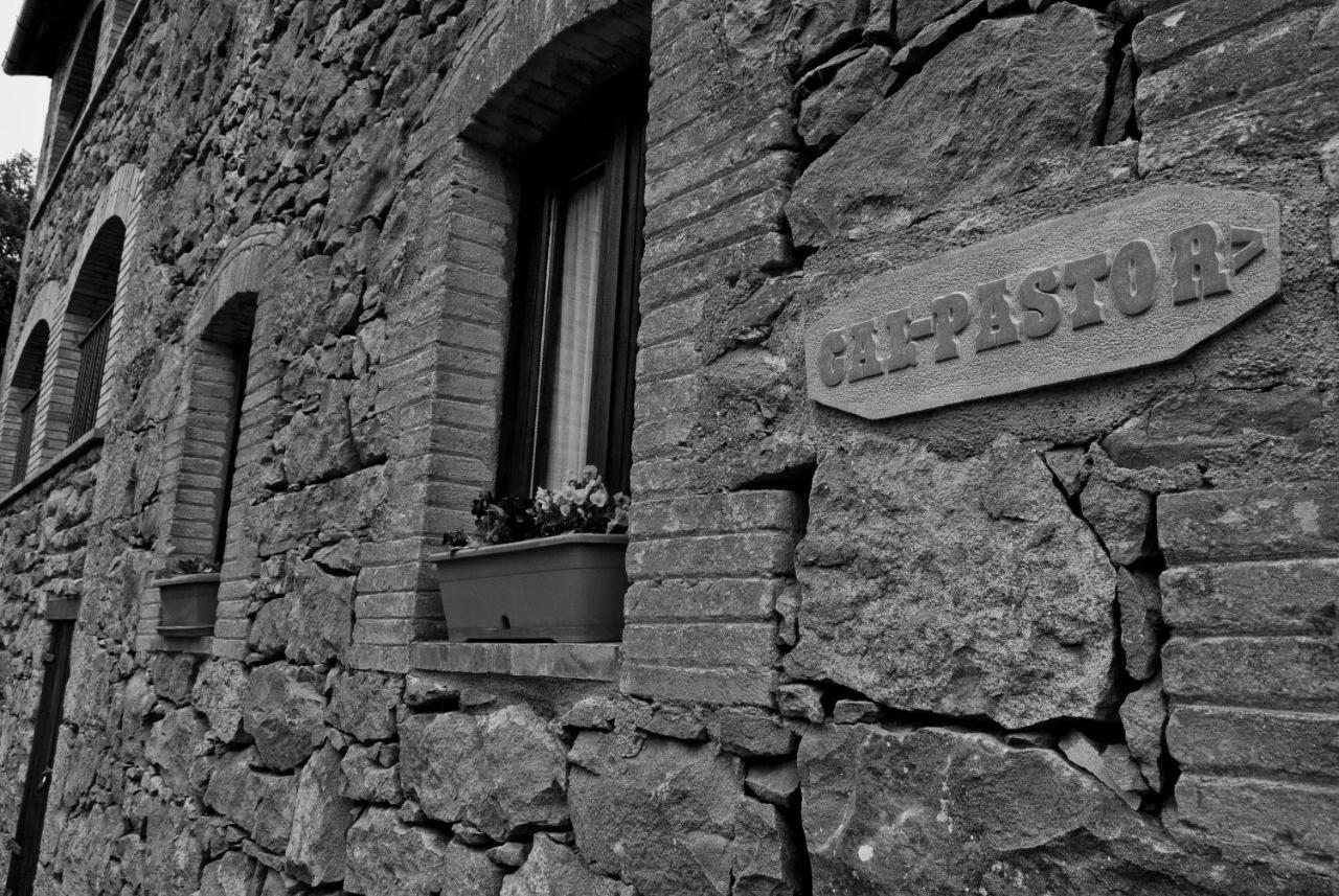 Casa Cal Pastor Konuk evi Salo Dış mekan fotoğraf
